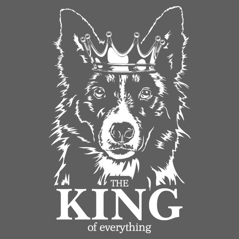 BORDER COLLIE King Hundespruch Hunde Wilsigns