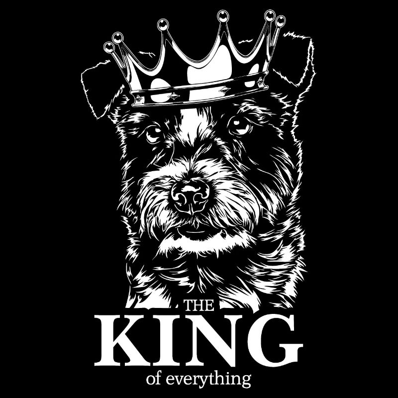 Jack Russell Terrier Roi de tout Chiens