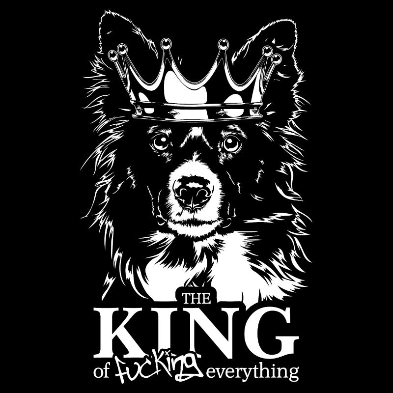 BORDER COLLIE King Hundespruch Hunde Wilsigns
