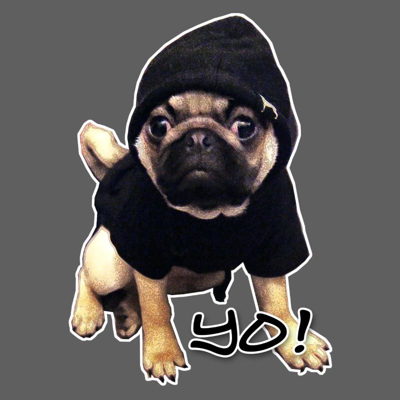 yo_mops_3