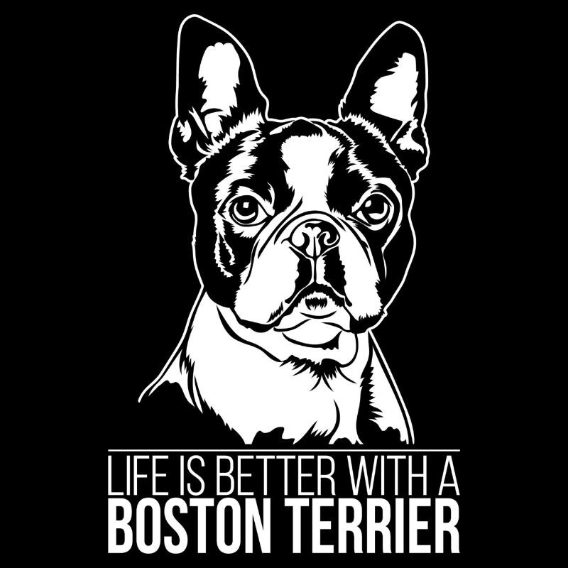 Boston Terrier life is better Hundespruch Wilsigns