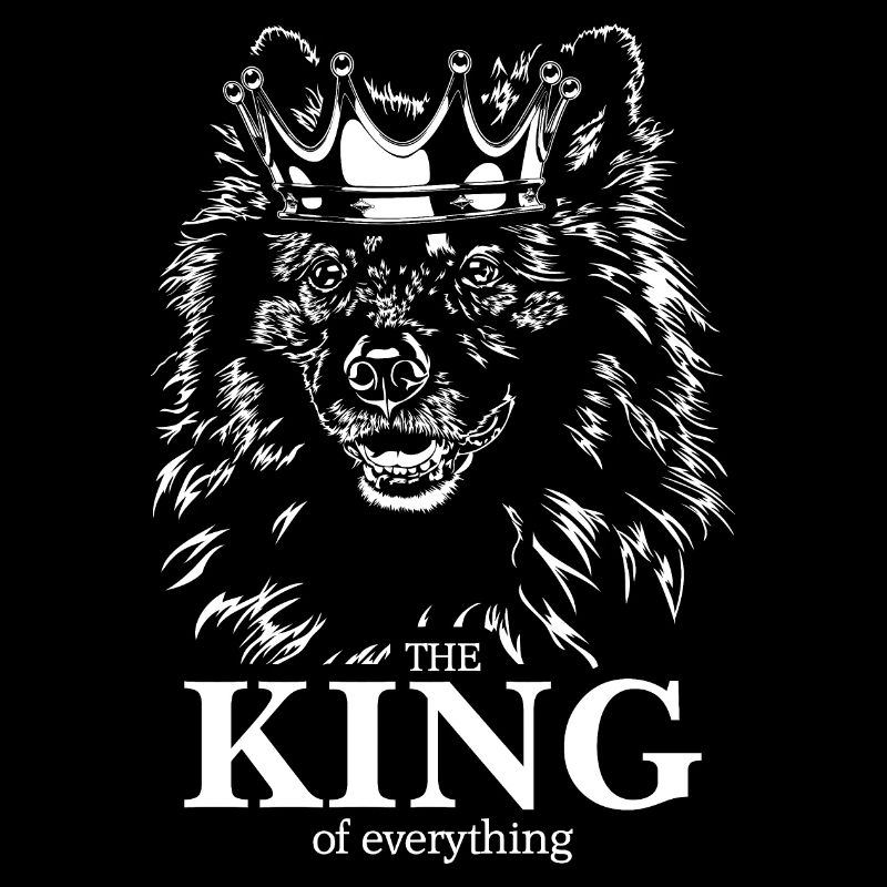 Wolfsspitz Keeshond King of everything Wilsigns
