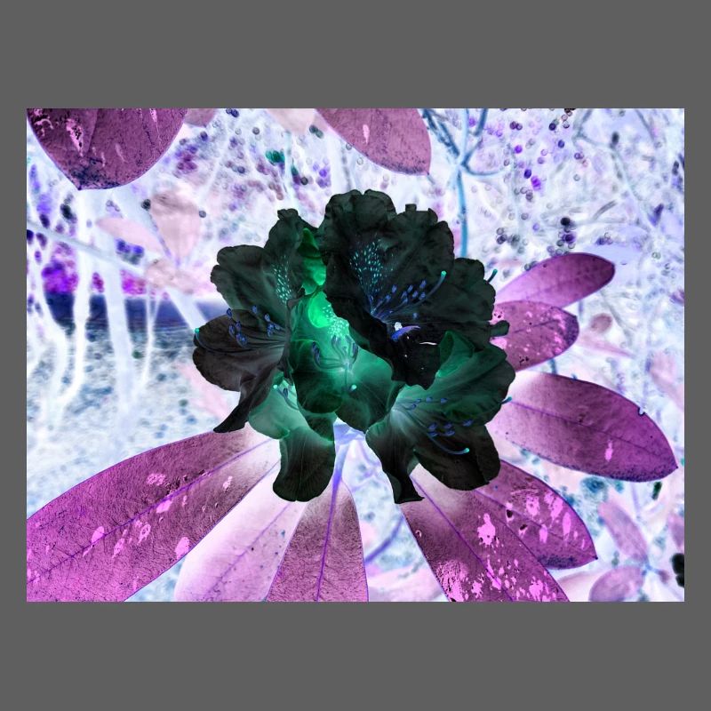 Neonblumen Hyperflora-Arrangement