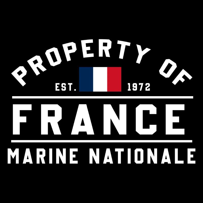 French Navy Ownership