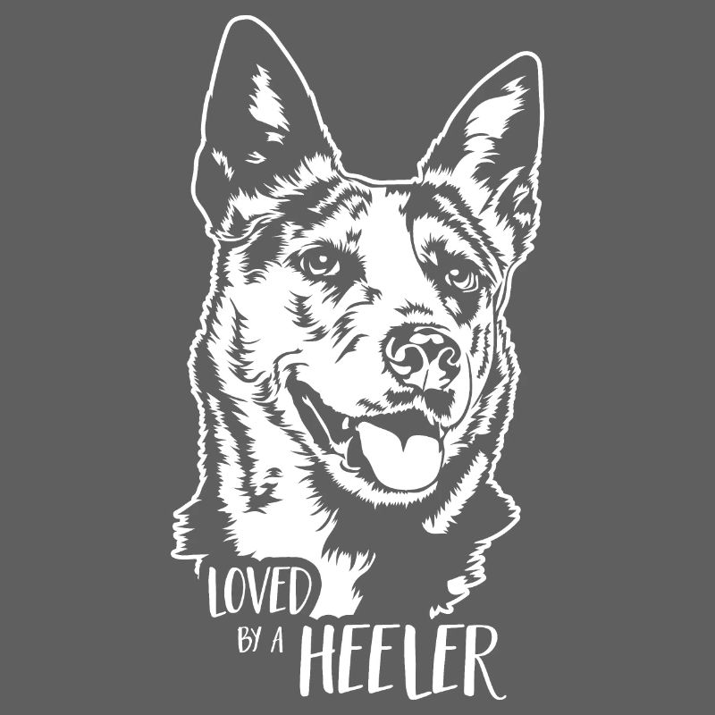 Bouvier australien aimé par un Heeler Wilsigns