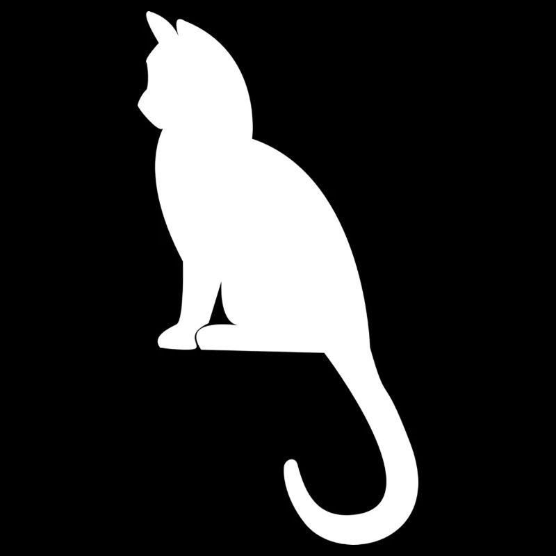 Poussins chat chats chat chats