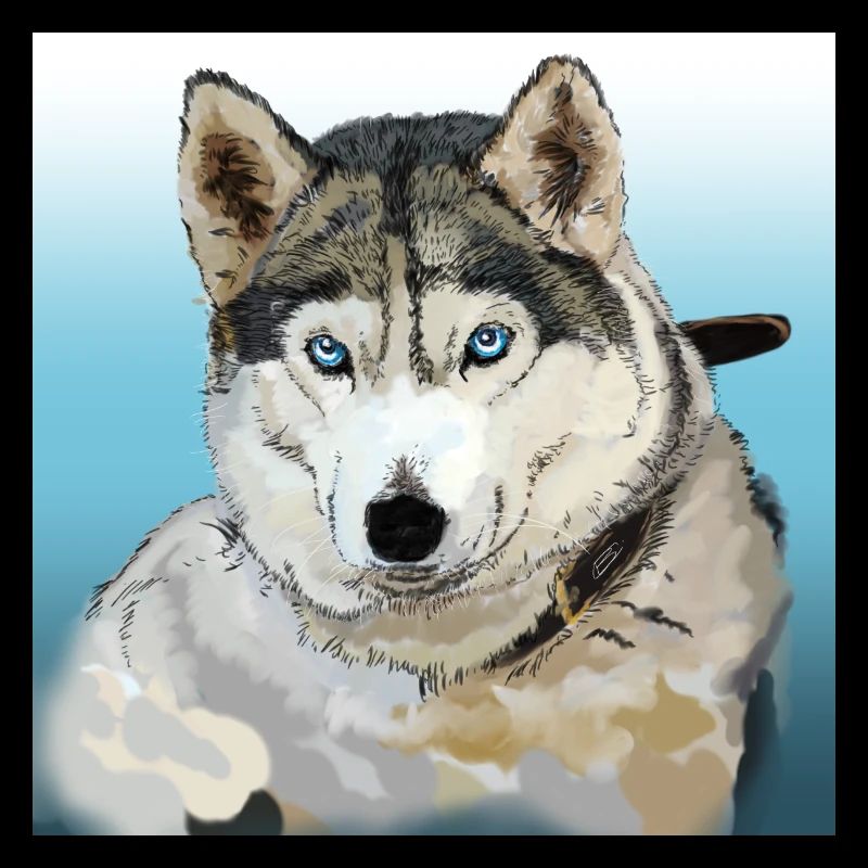 Husky
