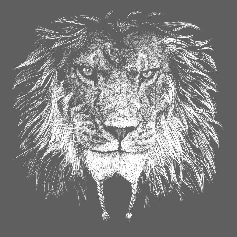 Lion Biker