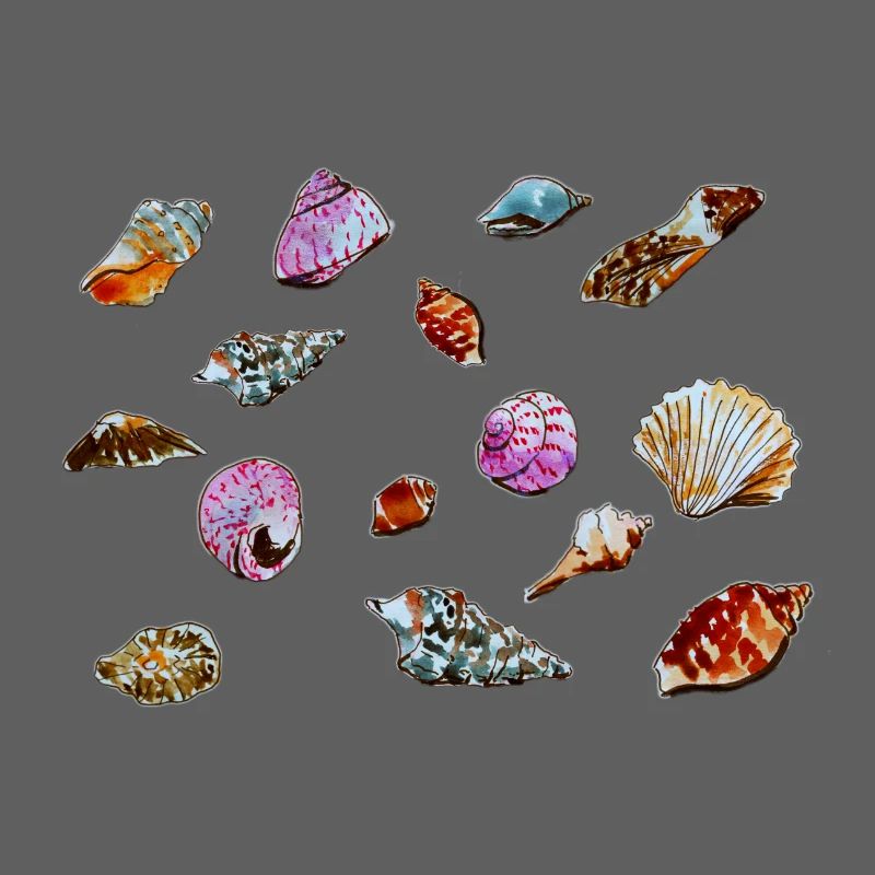 Colourful Seashells Marine Pattern