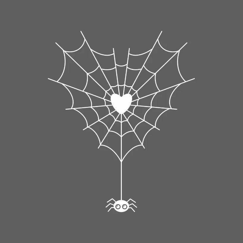 Spider in spider web