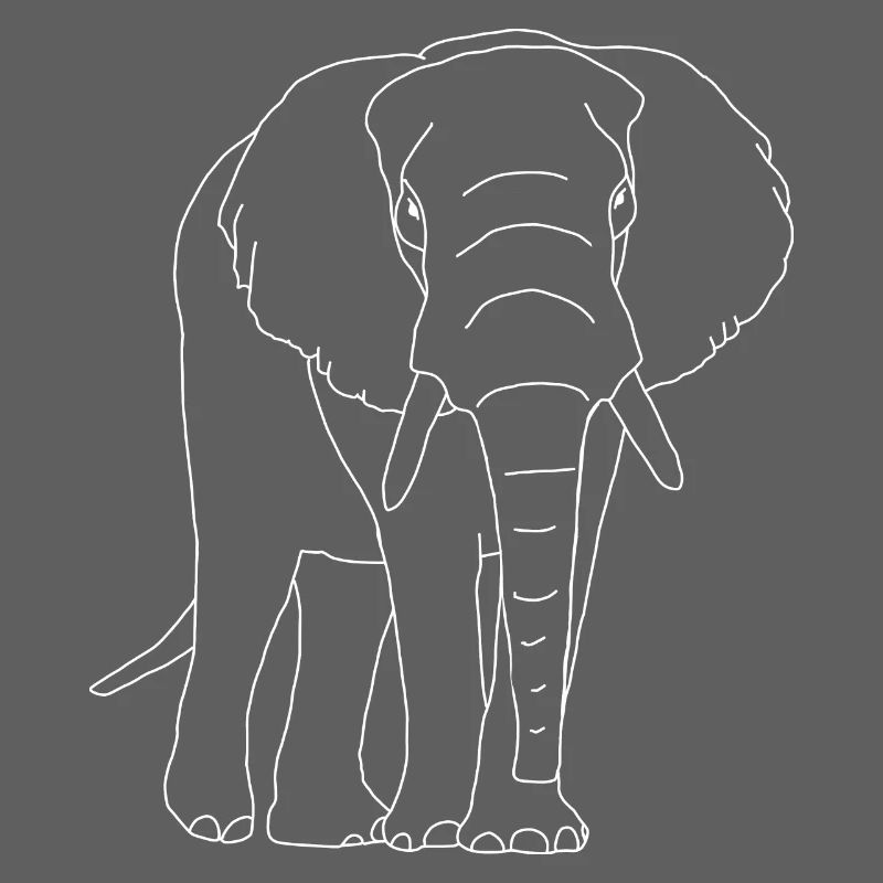 Elefant lineart