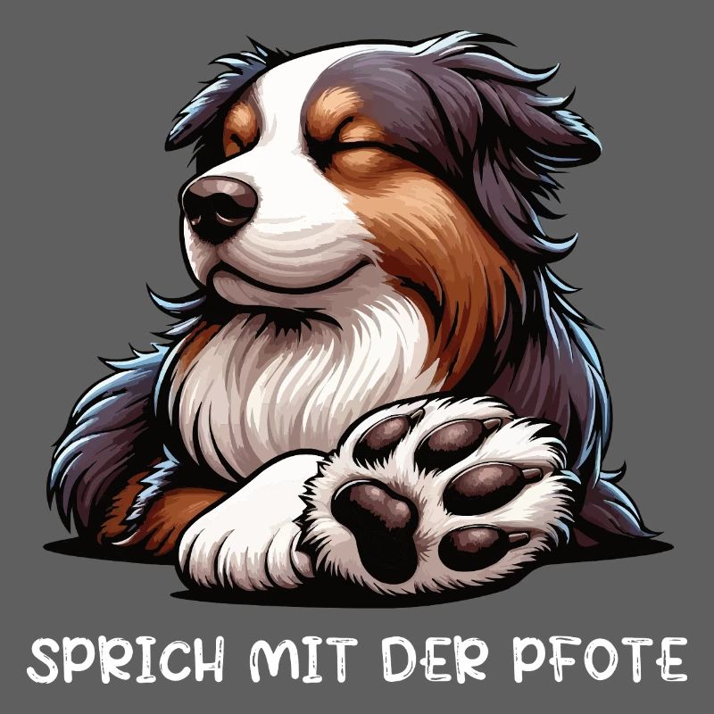 Sprich mit der Pfote Australian Shepherd Aussie 
