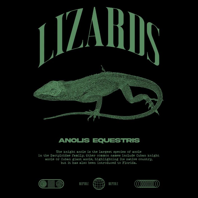 Kubanischer Ritter Anole Reptilienhalter Eidechse