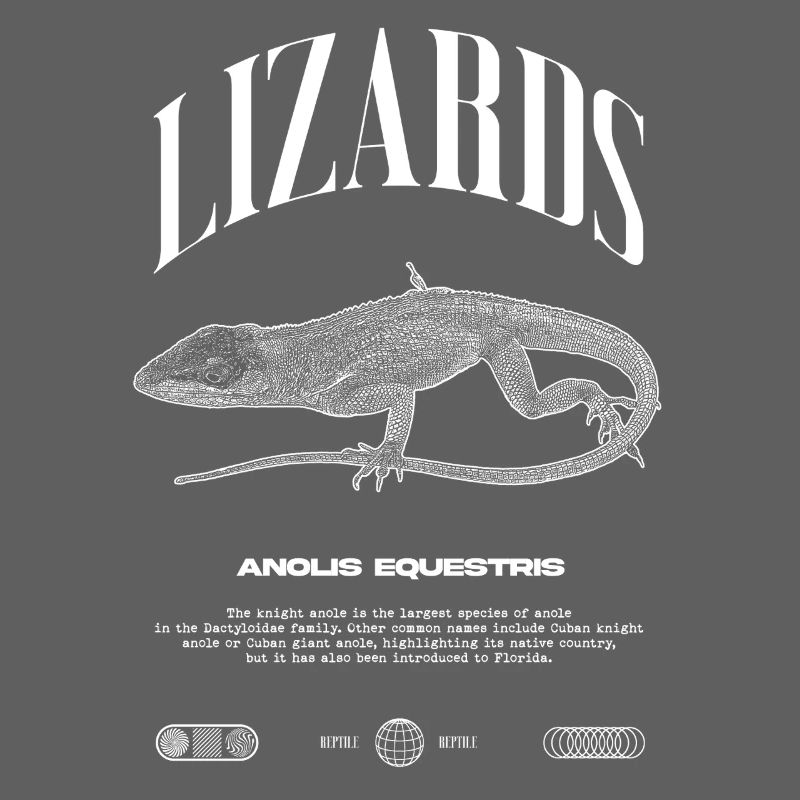 Kubanischer Ritter Anole Reptilienhalter Eidechse
