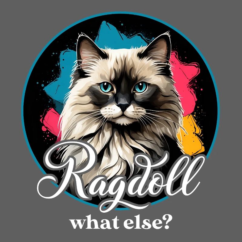 Ragdoll Cat