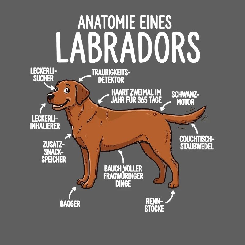 Anatomie eines Labradors – Lustiges Foxred Design