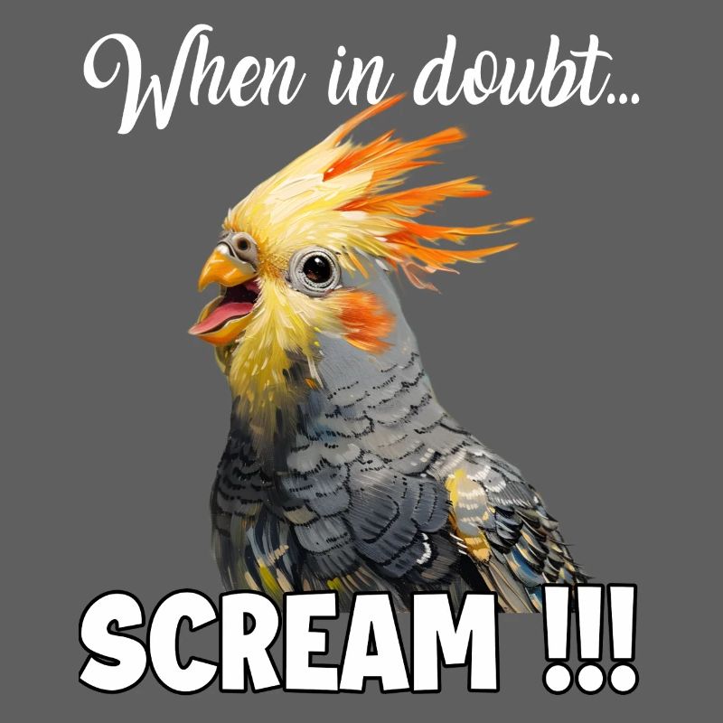 Dons créatifs : Porte-cacatoès et calopsitte