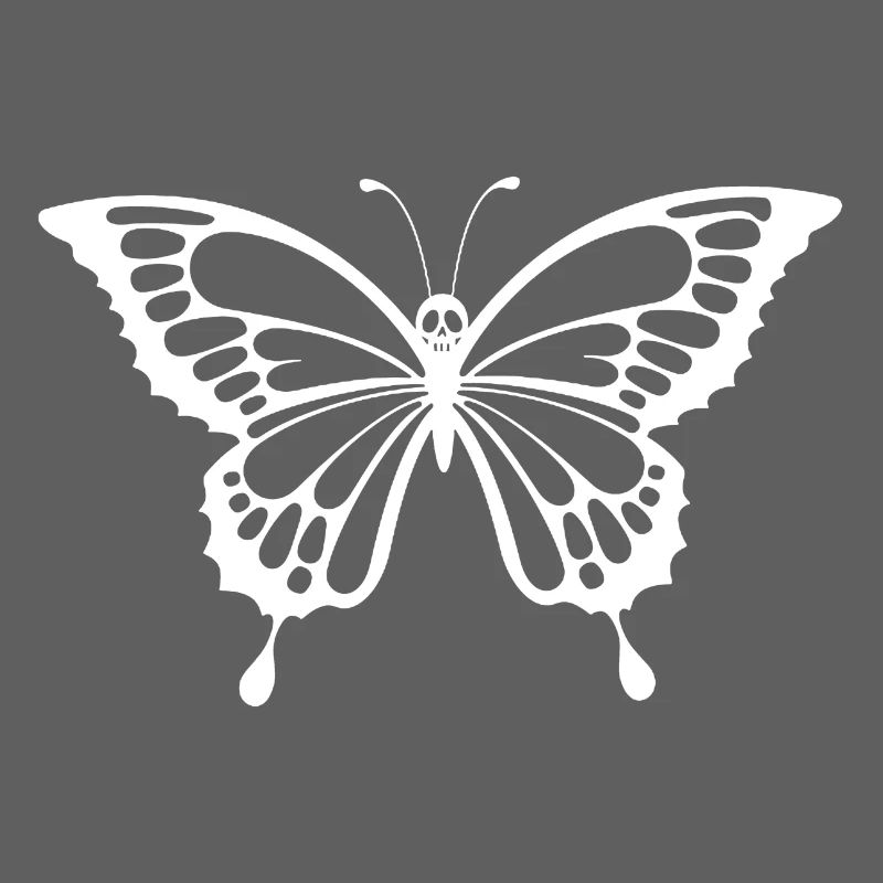 Crâne et papillon blanc