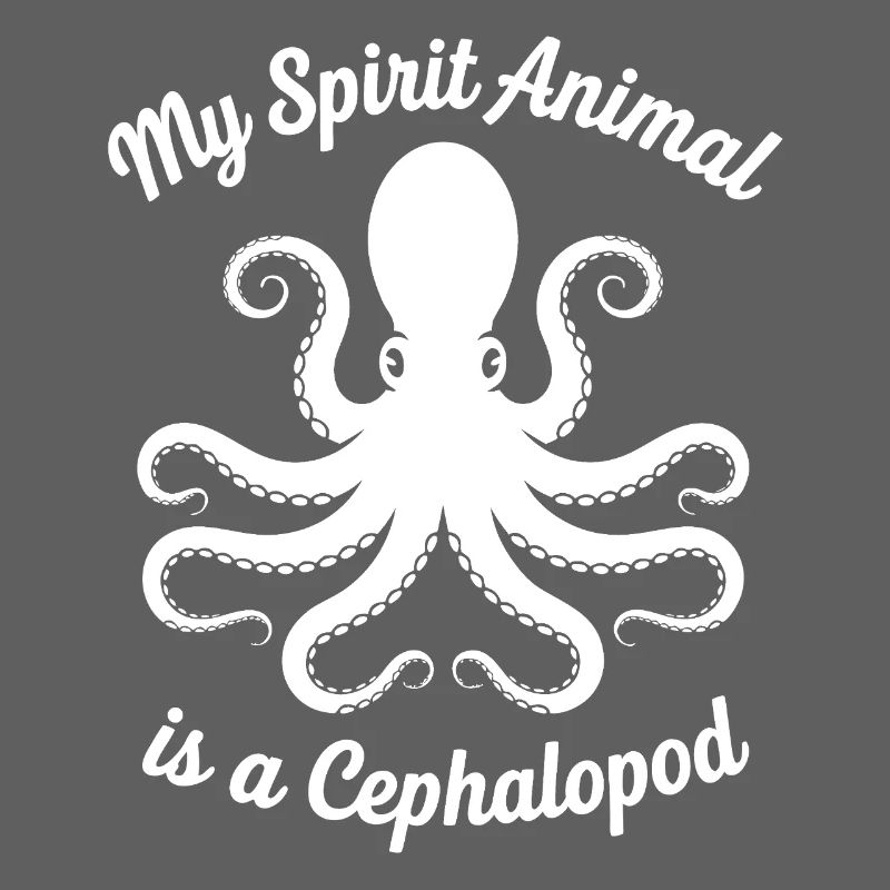 Conception des céphalopodes