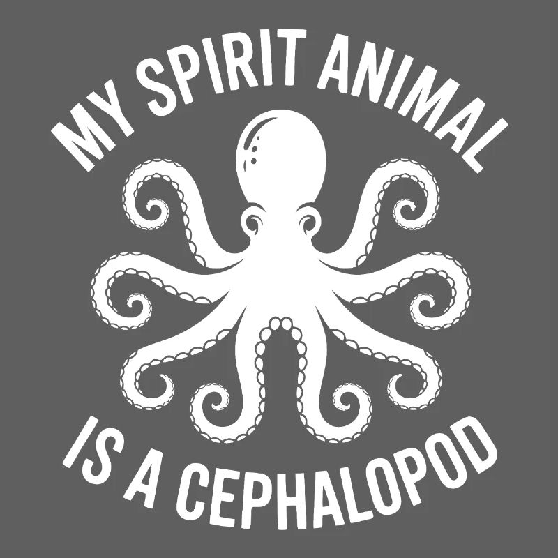 Octopus Gift Idea