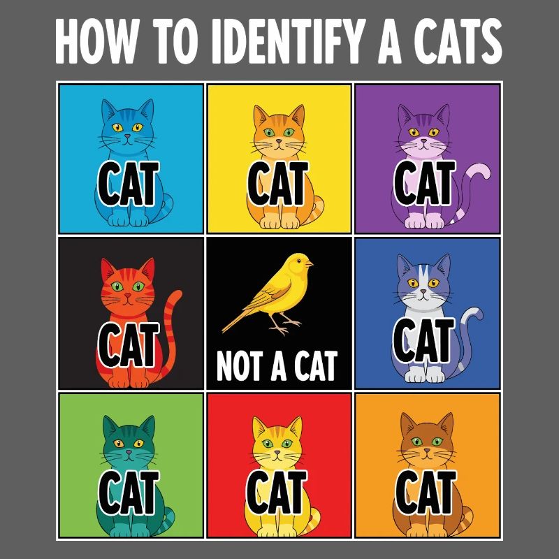 Guide d’identification des chats