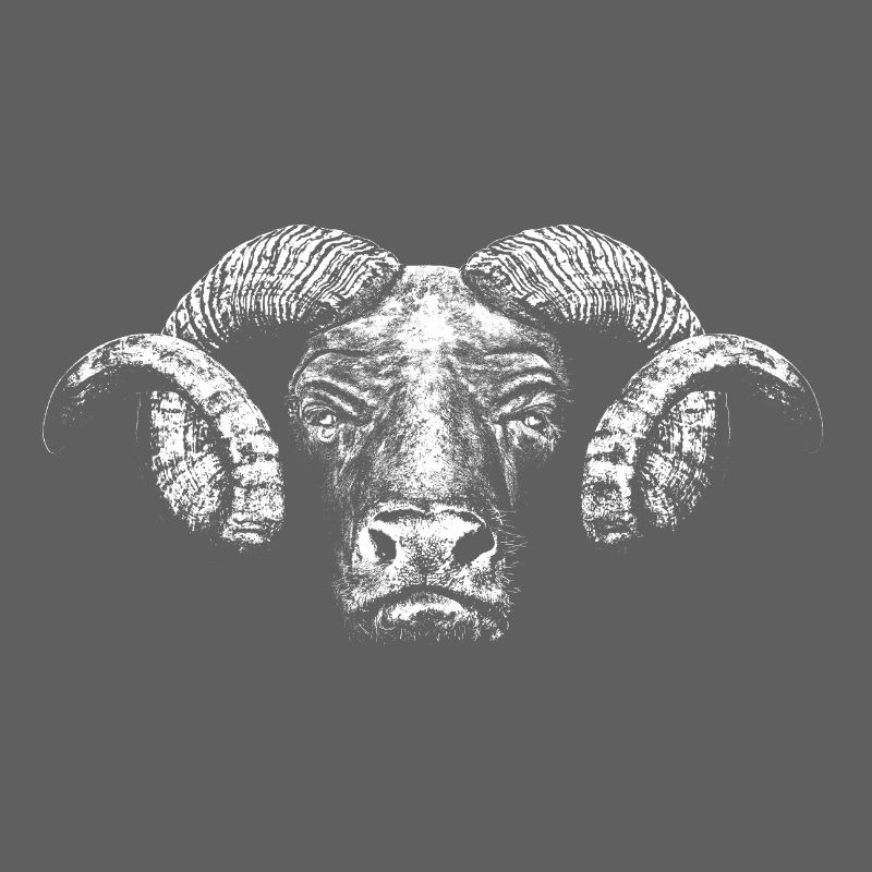 Minotaur / Head