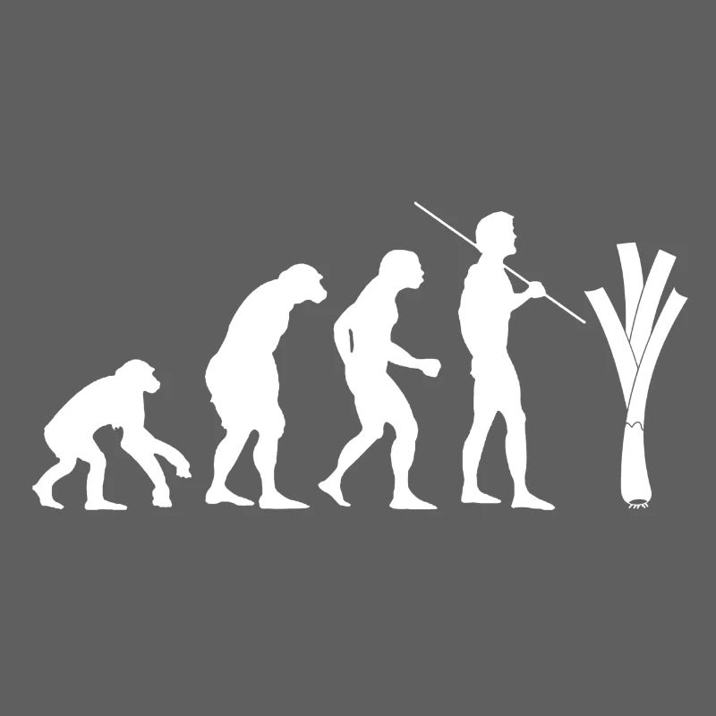 Evolution des Lauchs (weiß)