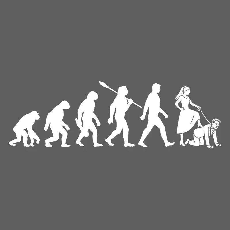 Enterrement de vie de garçon - Evolution Bachelor