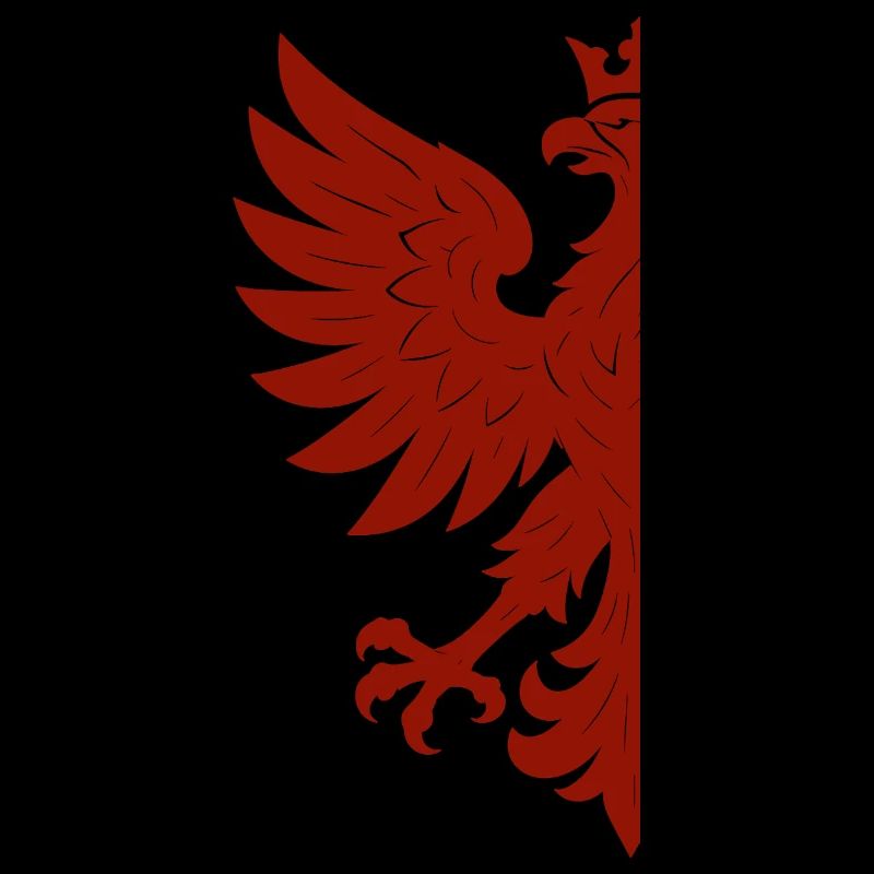 Poland Polska Eagle Flag Flag Red Gift