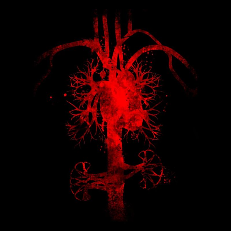 circulation sanguine
