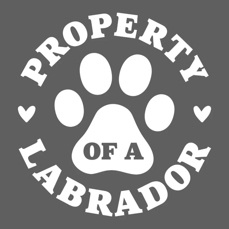 Eigentum eines Labradors