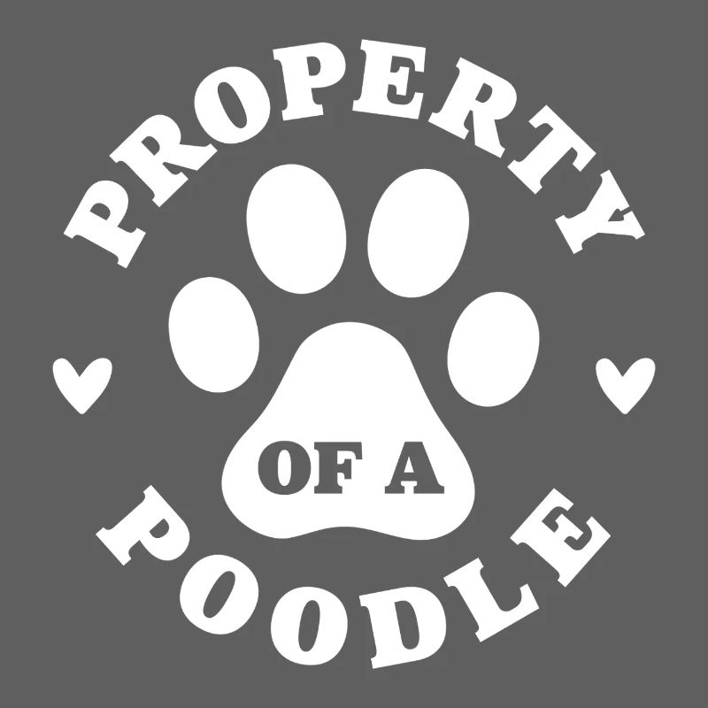 Eigentum eines Pudels