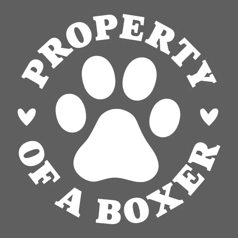 Eigentum eines Boxers