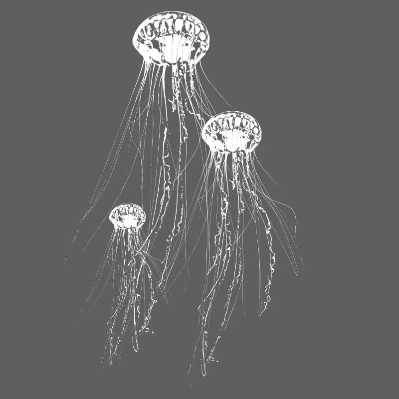 Jellyfish