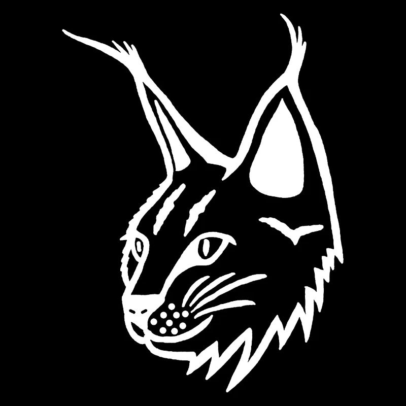 Portrait du lynx blanc