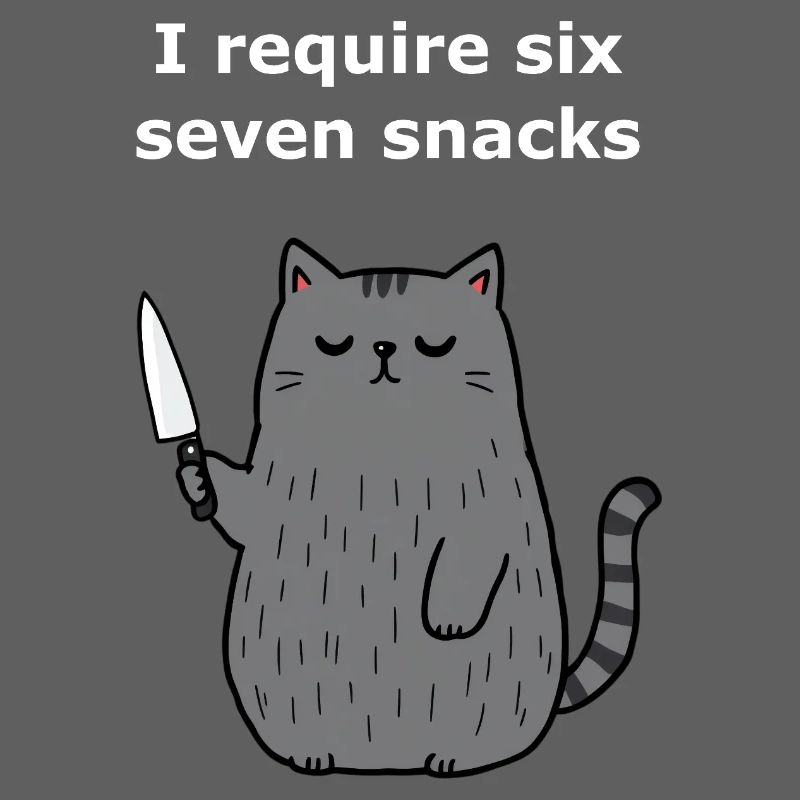 6-7 Internet Meme 6 7 Snack Katze