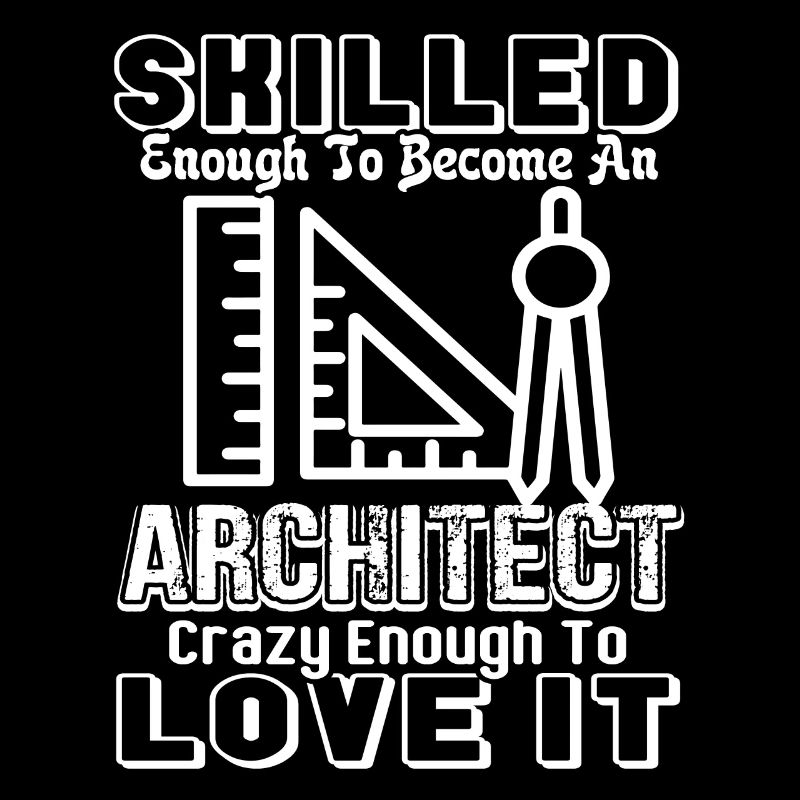 Architect Skilled Enough To Become An Architect