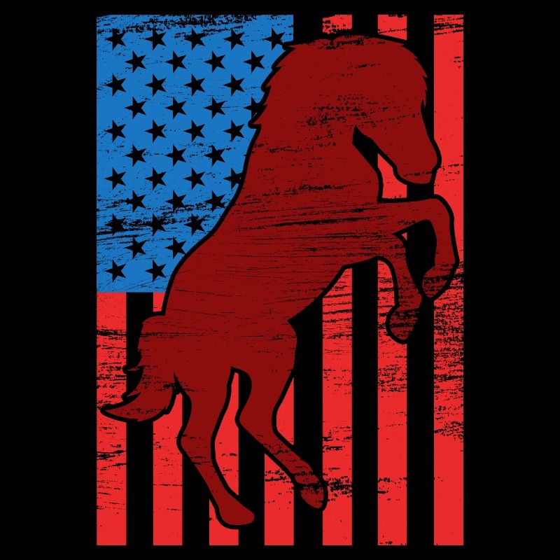 US Flag Riding