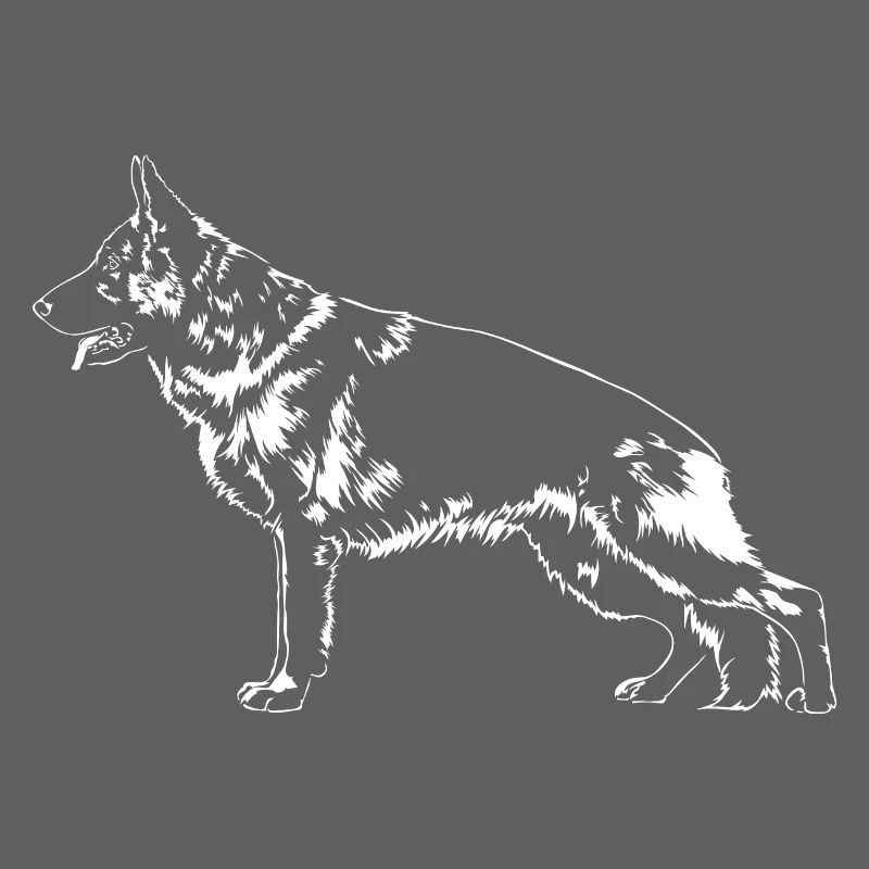 DEUTSCHER SCHÄFERHUND Hunde Hund IGP Wilsigns