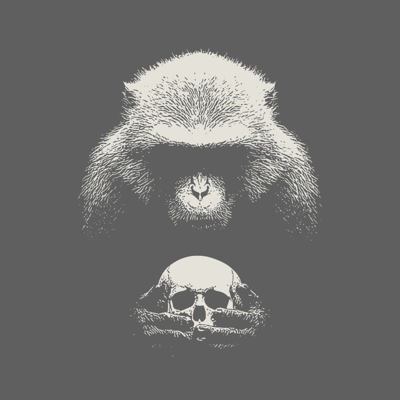 Shakespeare's monkey