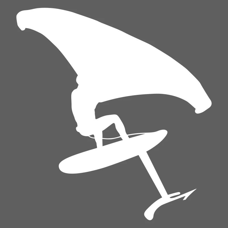 Dynamic wingsurfer on the water