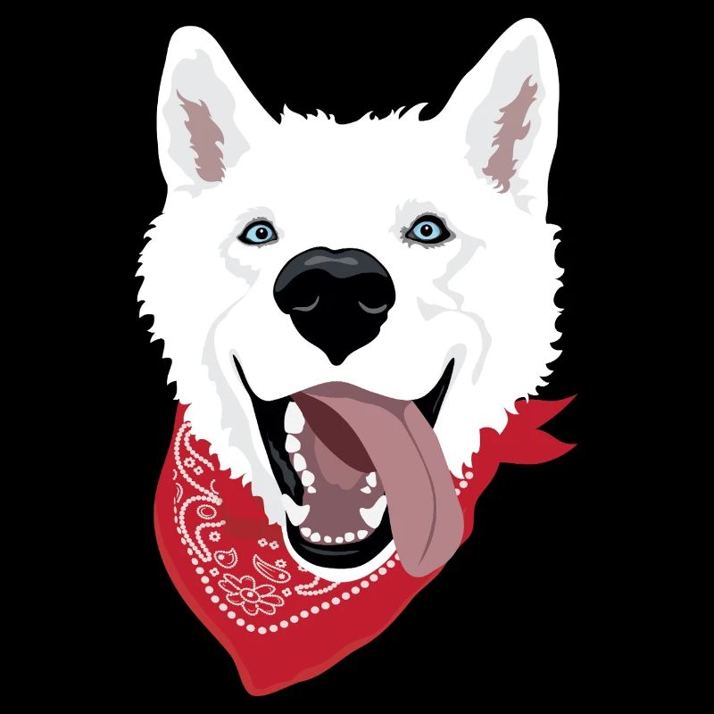 Husky blanc avec bandana et expression vive