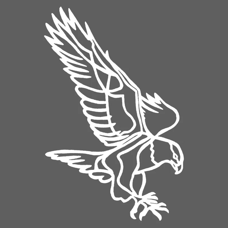 White Eagle in Flight