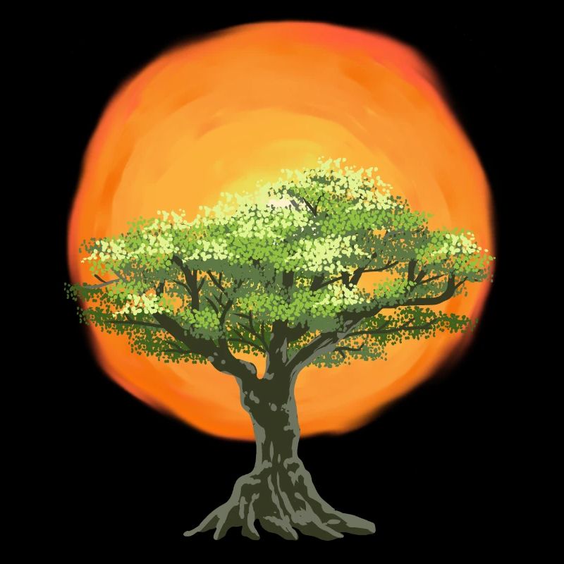 Olive Tree Sunrise Sun Tree Nature