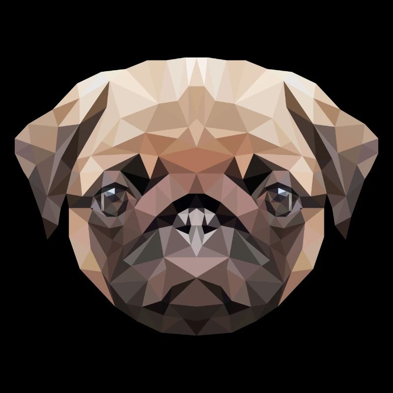 süsser Mops Pug