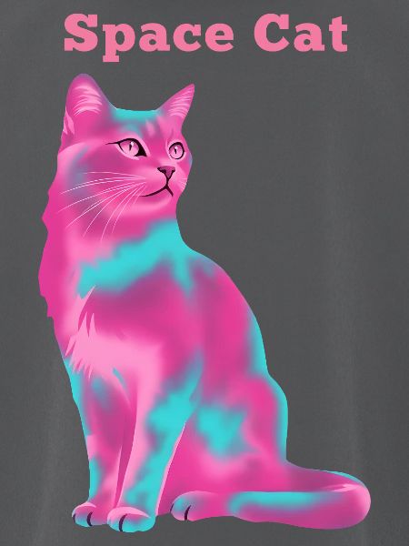 Space Cat