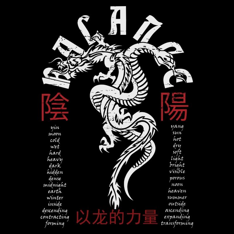 Chinesischer Drache und Schlange