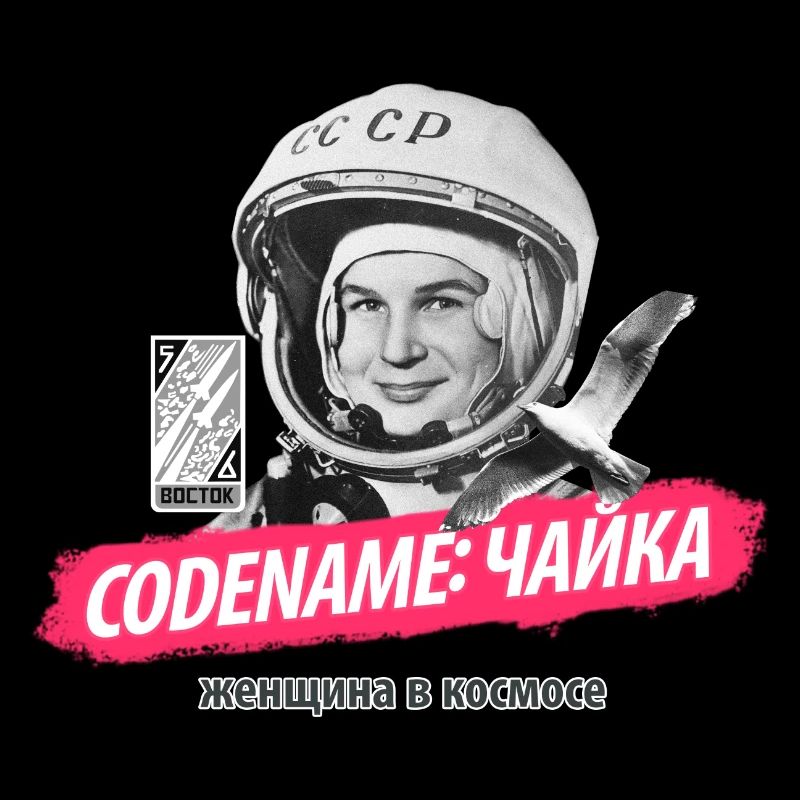 Nom de code: «Чайка»