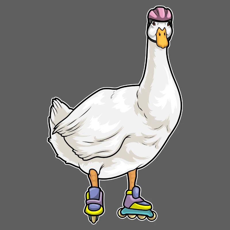 Duck Inline skating Roller Skates