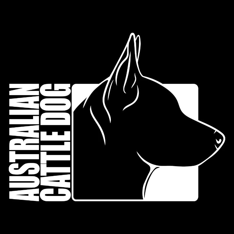Profil de bouvier australien Chiens Chien Wilsigns